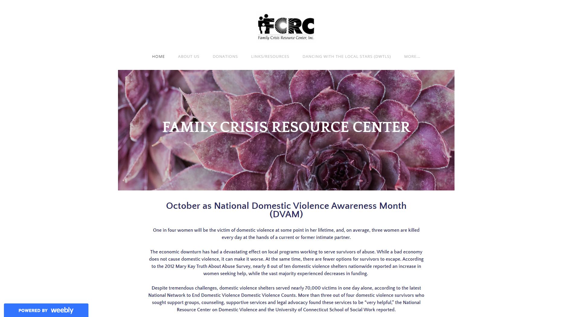 Family Crisis Resource Center Website