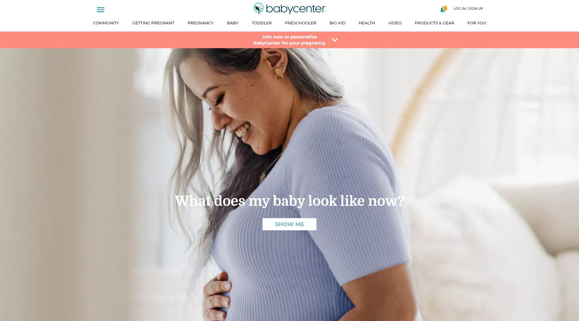 BabyCenter Website