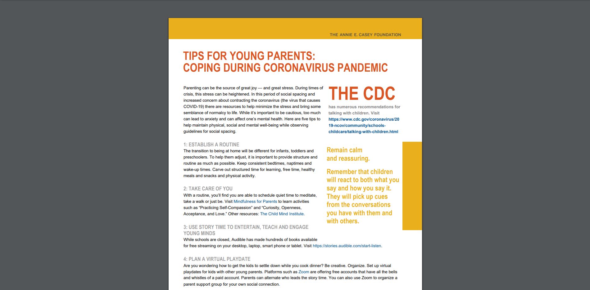 Annie Casey Tips for Young Parents PDF